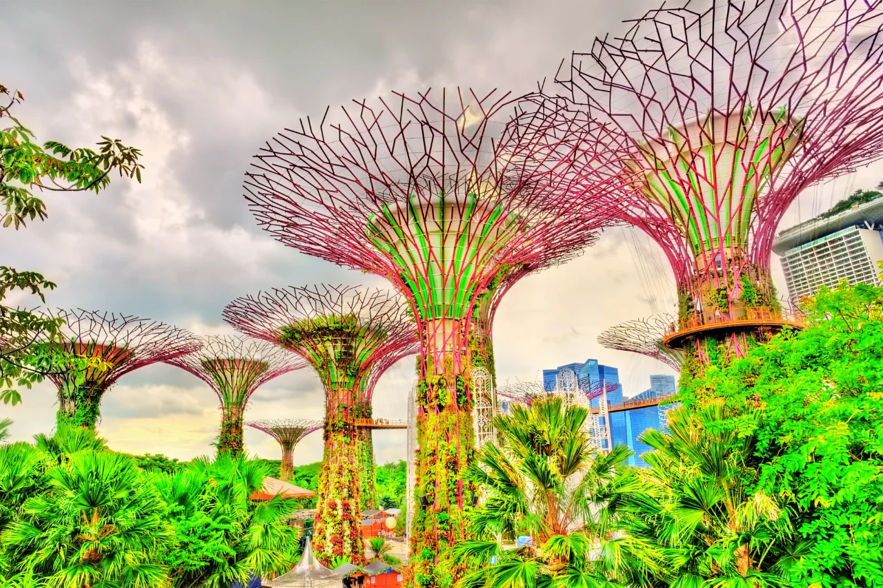 Singapore Tour Package