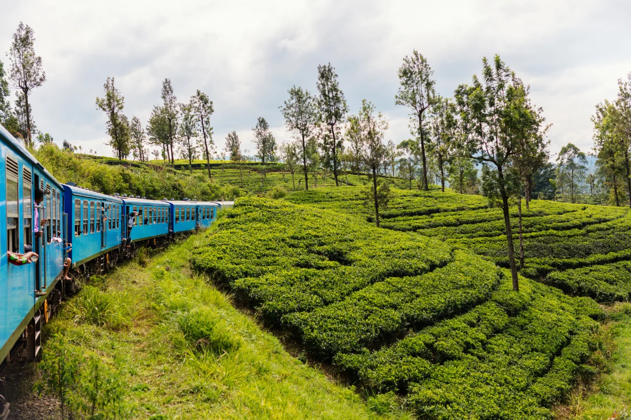 Sri Lanka Tour from Kerala