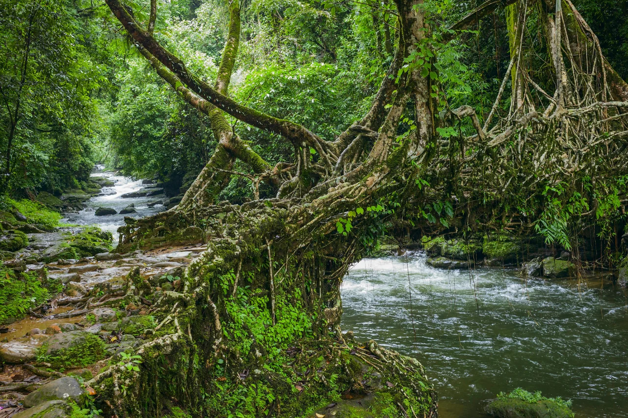 Meghalaya Tour from Kerala