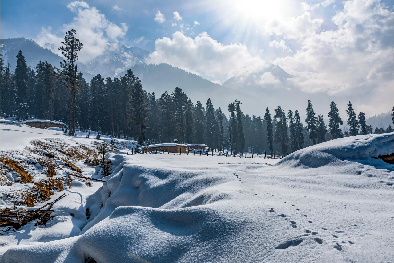 Kashmir Tour from Kerala