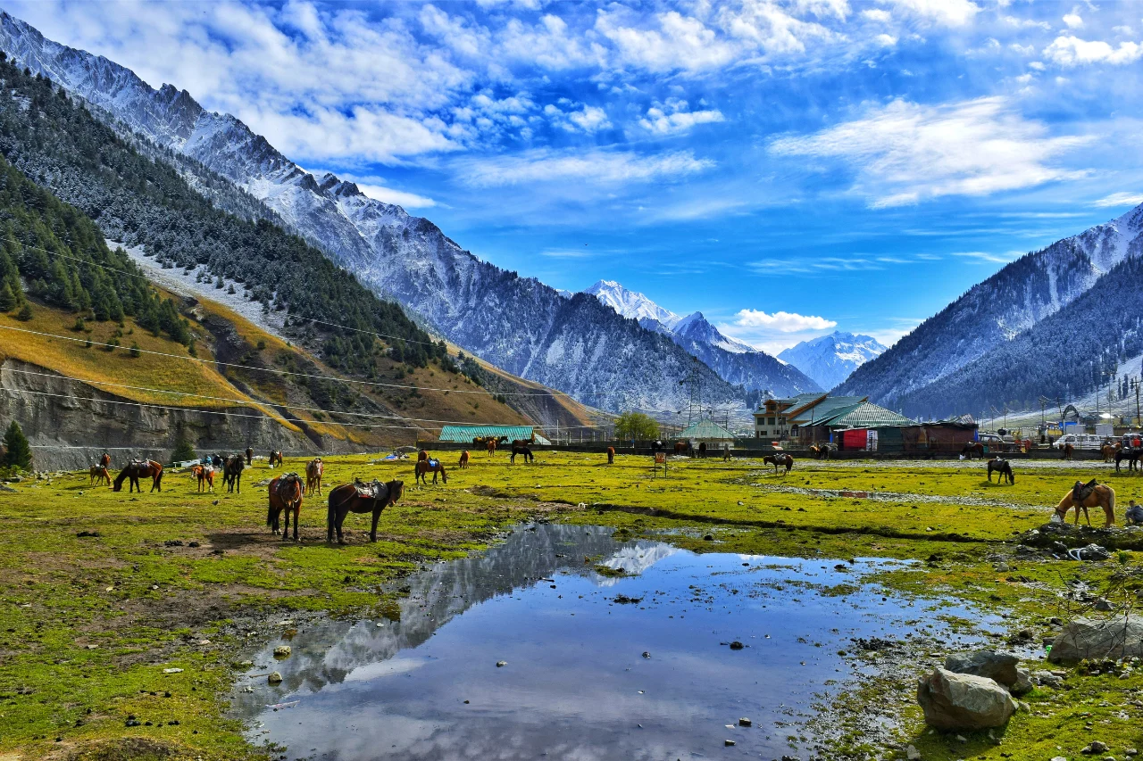 Kashmir Tour from Kerala