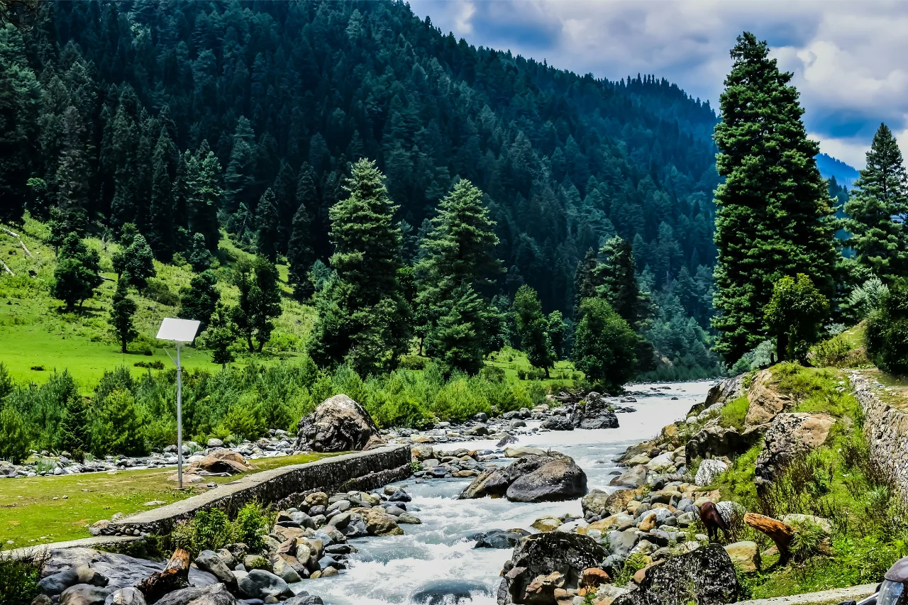 Kashmir Tour from Kerala