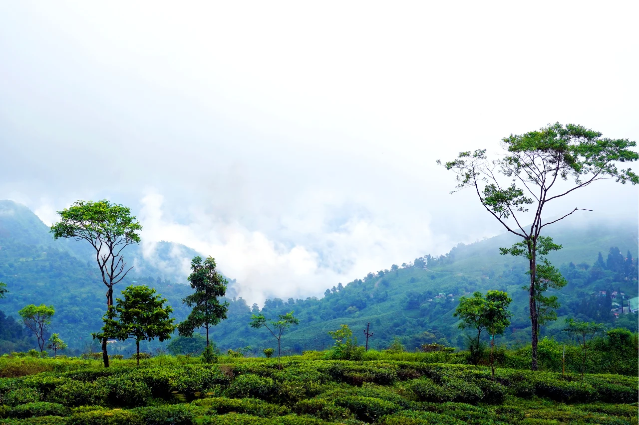 Darjeeling Tour from Kerala