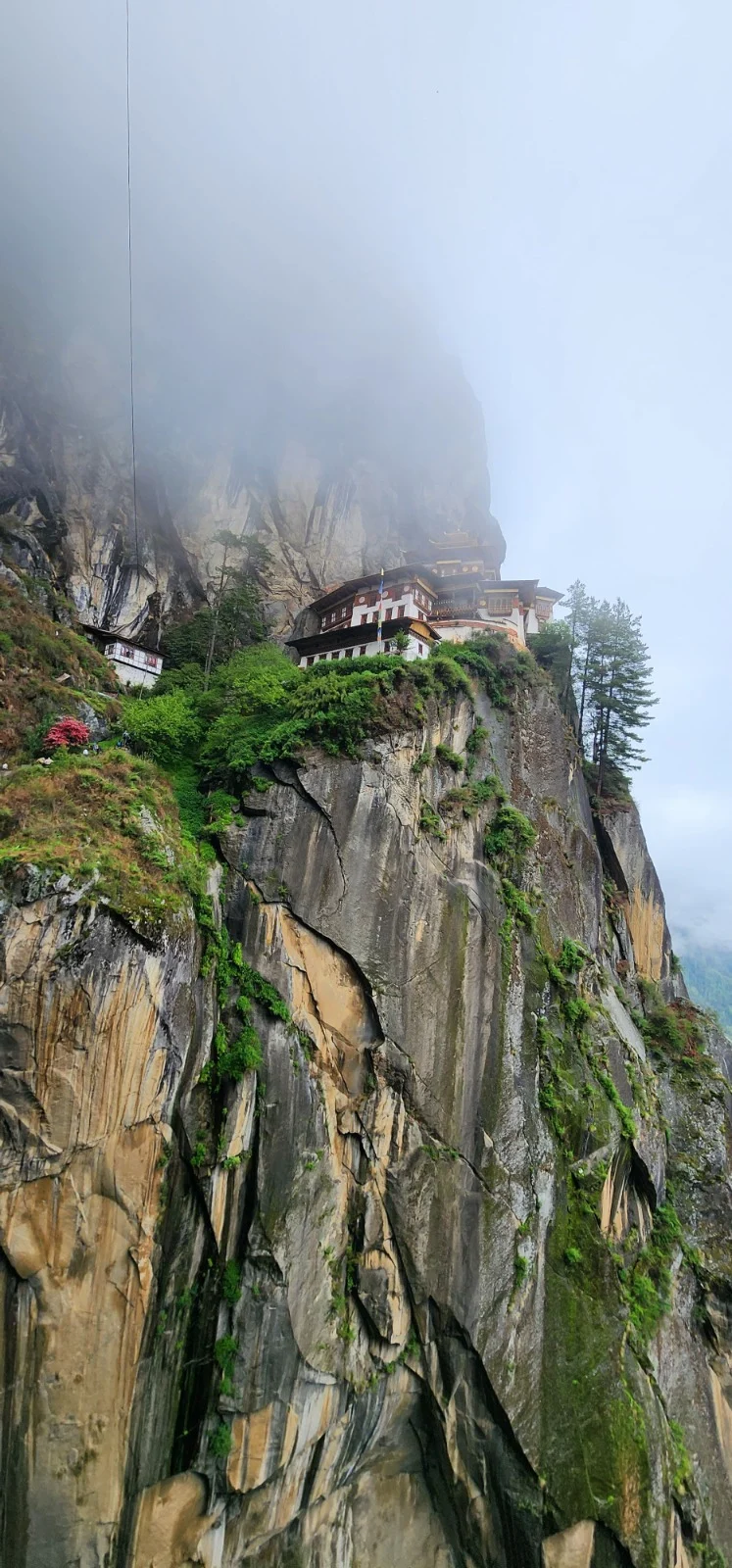 Bhutan Tours