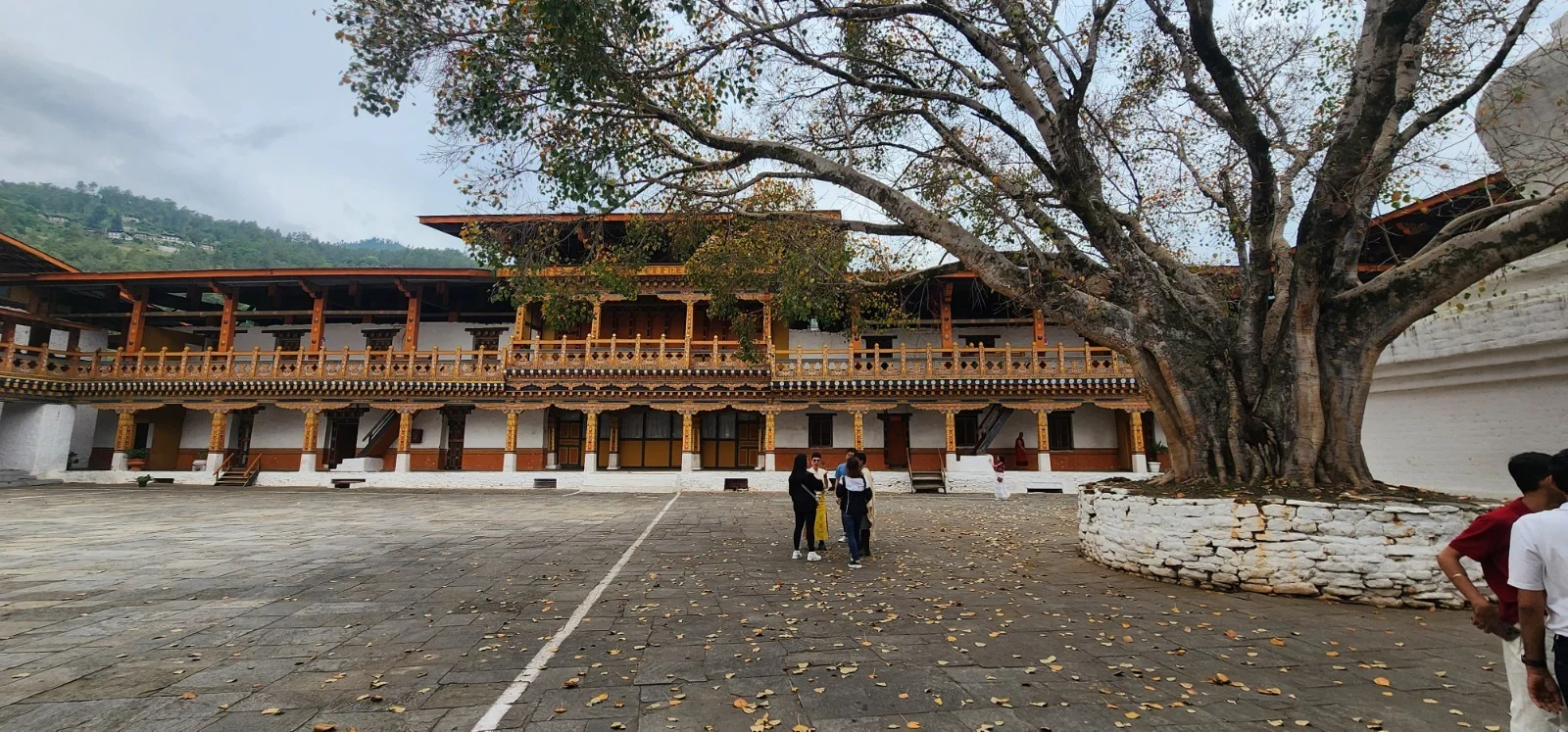 Bhutan Tours